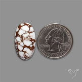Wild Horse Jasper Cabochon
