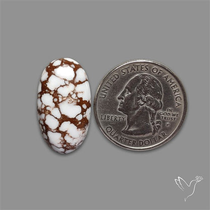 Wild Horse Jasper Cabochon