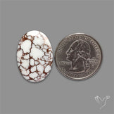 Wild Horse Jasper Cabochon
