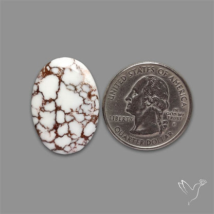 Wild Horse Jasper Cabochon