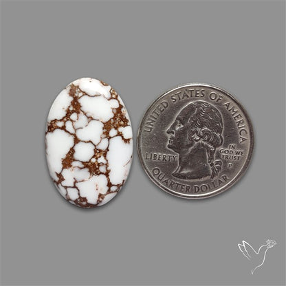 Wild Horse Jasper Cabochon