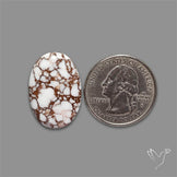 Wild Horse Jasper Cabochon