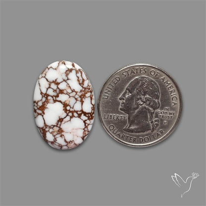 Wild Horse Jasper Cabochon