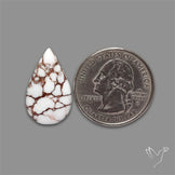 Wild Horse Jasper Cabochon