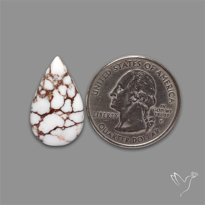 Wild Horse Jasper Cabochon