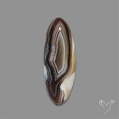 Botswana Agate Cabochon