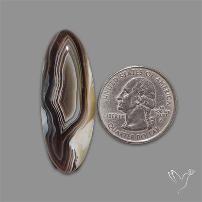Botswana Agate Cabochon
