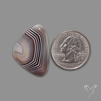 Botswana Agate Cabochon
