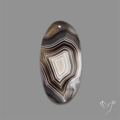 Botswana Agate Cabochon