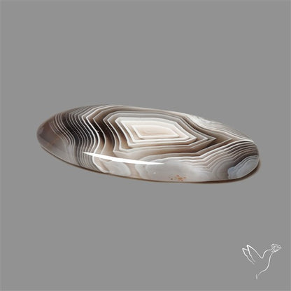 Botswana Agate Cabochon