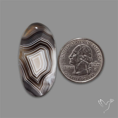 Botswana Agate Cabochon