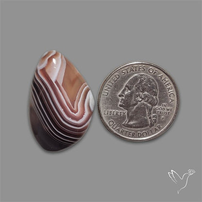Botswana Agate Cabochon