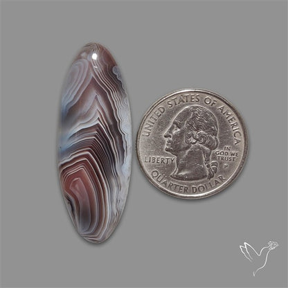 Botswana Agate Cabochon