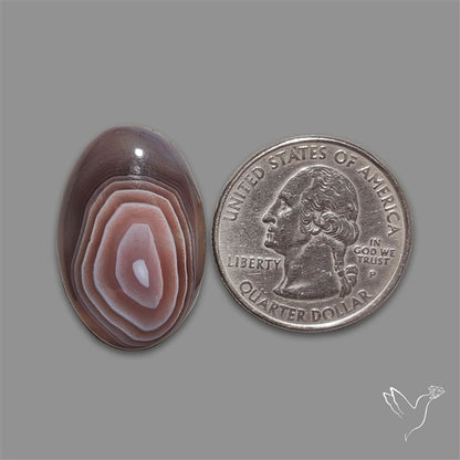 Botswana Agate Cabochon