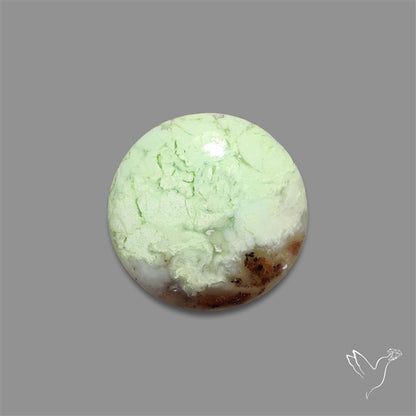 Citron Chrysoprase Cabochon
