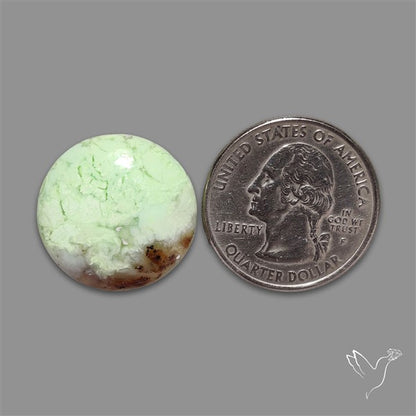 Citron Chrysoprase Cabochon