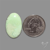 Citron Chrysoprase Cabochon
