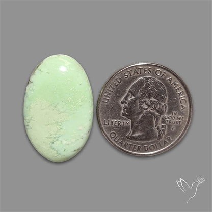Citron Chrysoprase Cabochon