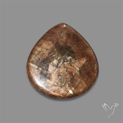Rare Large Zawadi Goldsheen Sapphire Cabochon