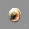 Shiva Eye Shell Cabochon