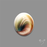 Shiva Eye Shell Cabochon