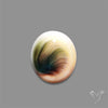 Shiva Eye Shell Cabochon