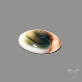 Shiva Eye Shell Cabochon