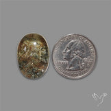 Lodolite Cabochon With Golden Rutile Inclusions