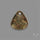 Lodolite Cabochon With Golden Rutile Inclusions