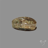 Lodolite Cabochon With Golden Rutile Inclusions
