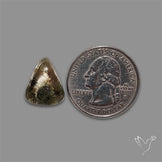 Lodolite Cabochon With Golden Rutile Inclusions