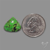 Rare Green Hubei Turquoise Cabochon natural