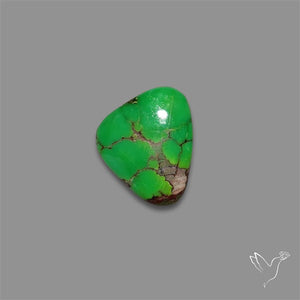 Rare Green Hubei Turquoise Cabochon natural