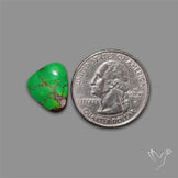 Rare Green Hubei Turquoise Cabochon natural