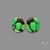 Rare Green Hubei Turquoise Pair