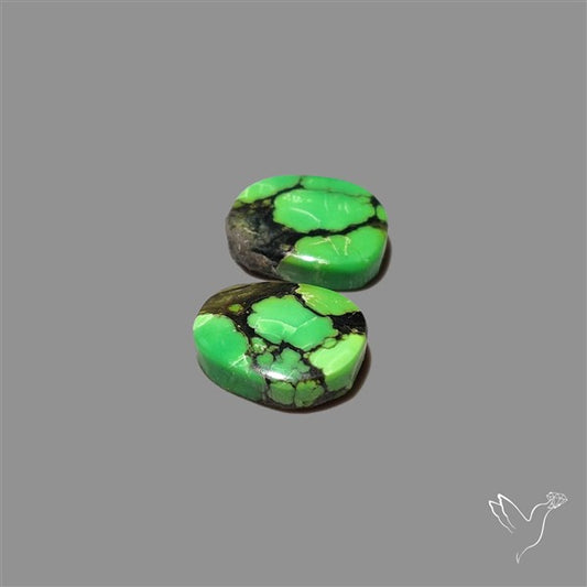 Rare Green Hubei Turquoise Pair