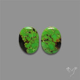Rare Green Hubei Turquoise Pair
