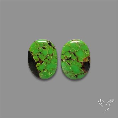 Rare Green Hubei Turquoise Pair