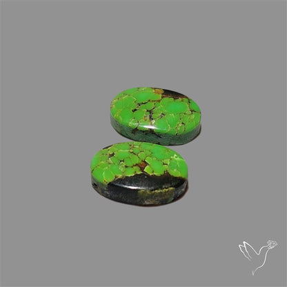 Rare Green Hubei Turquoise Pair