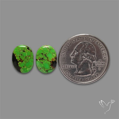 Rare Green Hubei Turquoise Pair
