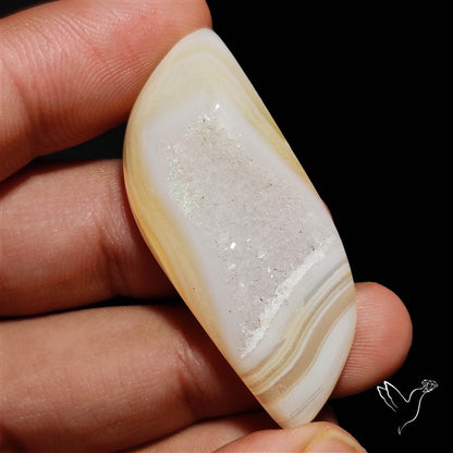 Chalcedony Druzy Pocket