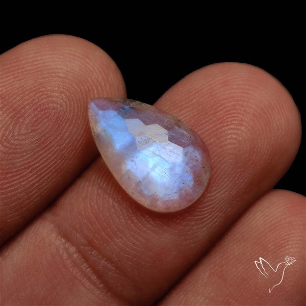 Honeycomb Cut Belomorite Blue Moonstone