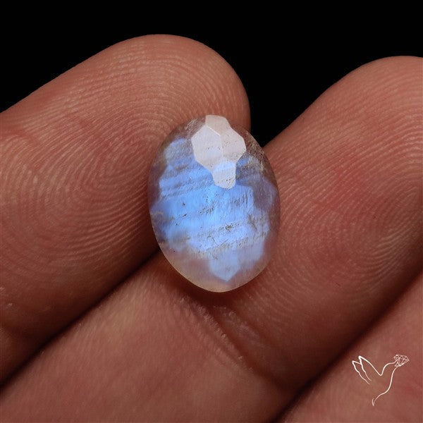 Honeycomb Cut Belomorite Blue Moonstone