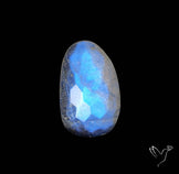 Honeycomb Cut Belomorite Blue Moonstone
