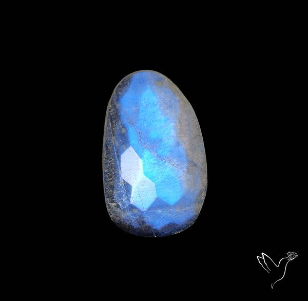 Honeycomb Cut Belomorite Blue Moonstone