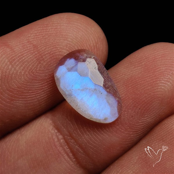 Honeycomb Cut Belomorite Blue Moonstone