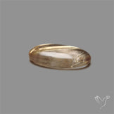 Golden Rutilated Quartz Cabochon