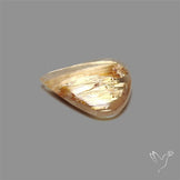 Golden Rutilated Quartz Cabochon