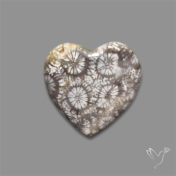 Fossil Coral Heart Cabochon
