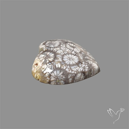 Fossil Coral Heart Cabochon